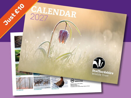 A calendar with a delicate pale pink flower in frosty grass on the front of a 2027 calendar, layered on top of a grid of images and text reads just £10 top left corner