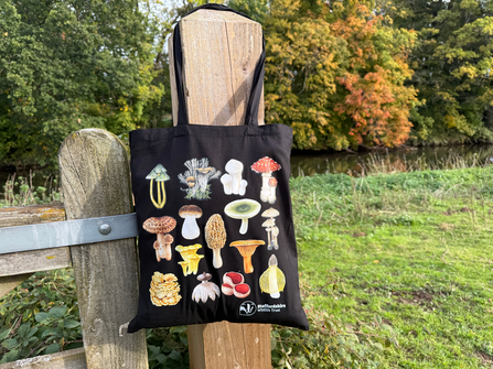 A black tote bag with different types of fungi printed on it, surrounded by Autumn leaves.  