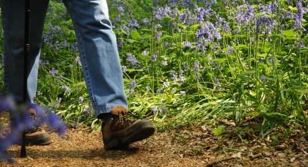 walk