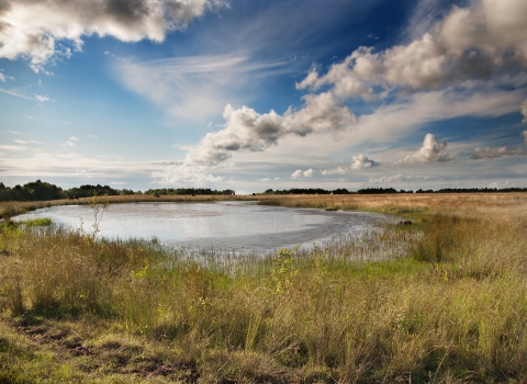 Bateswood Nature Reserve