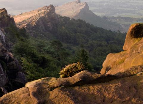 The stunning Roaches Nature Reserve