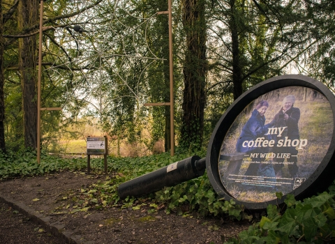 The Wolseley Centre grounds