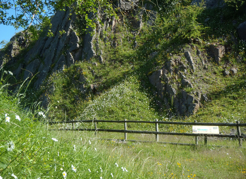 Brown End Quarry - Nature Reserve