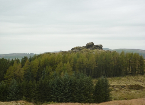 Black Brook - Nature Reserve 