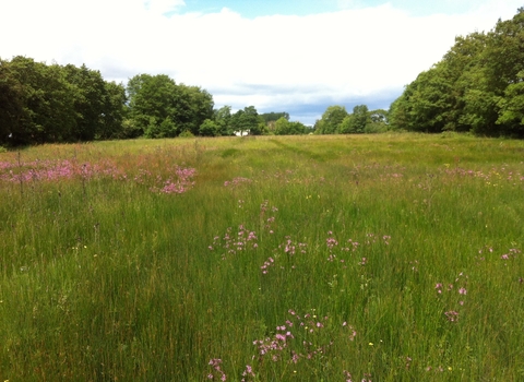 Allimore Green - Nature Reserve
