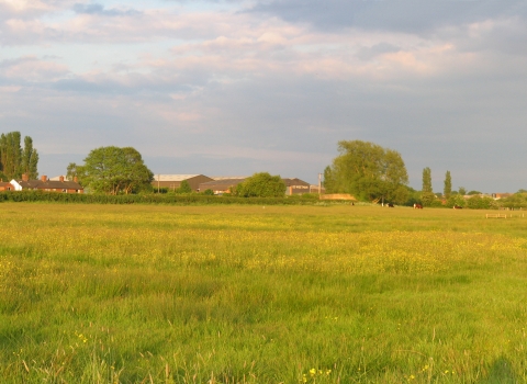 Pasturefields saltmarsh 