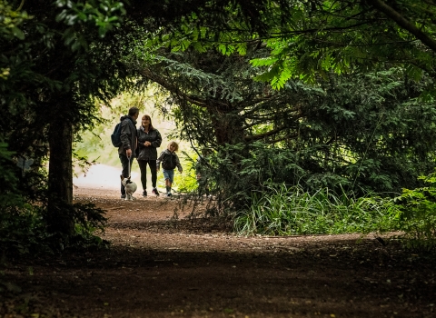 Explore The Wolseley Centre