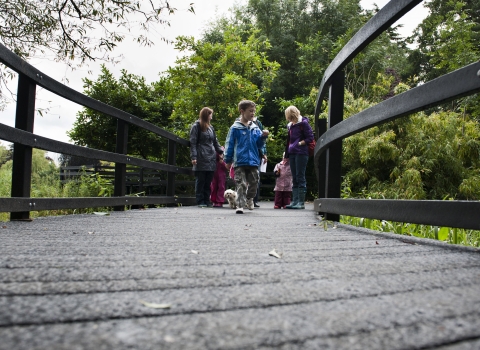 The Wolseley Centre - boardwalk