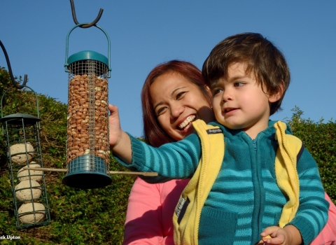 Filling bird feeder 