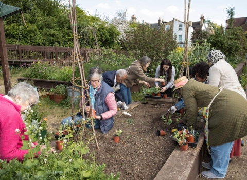 Poeple gardening 