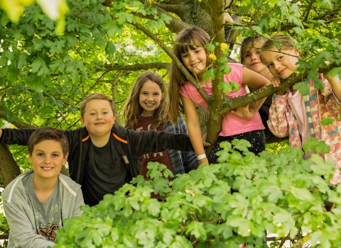 The Wolseley Centre - kids
