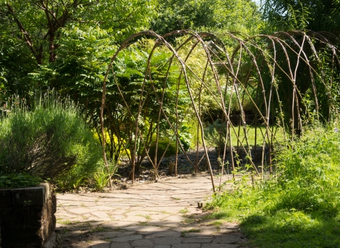 Sensory garden at Wolseley