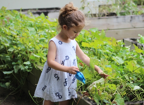 Child gardening 