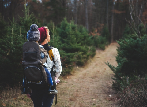 Guided walks around our reserves 