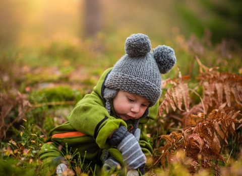 Nature Tots sessions