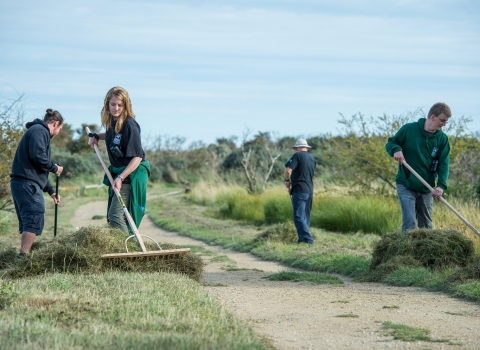 Volunteering - adults 