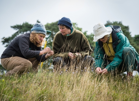 Opportunities we have for adults to get involved with wild places and wildlife 