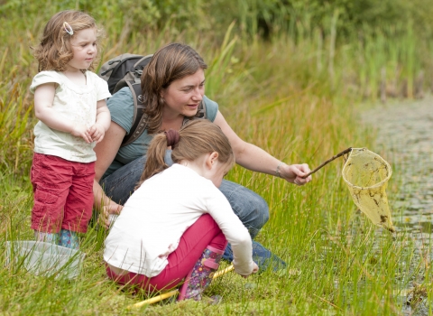Find out more about the events we offer