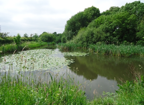 Staffordshire Trent Valley Catchment Based Approach Partnership