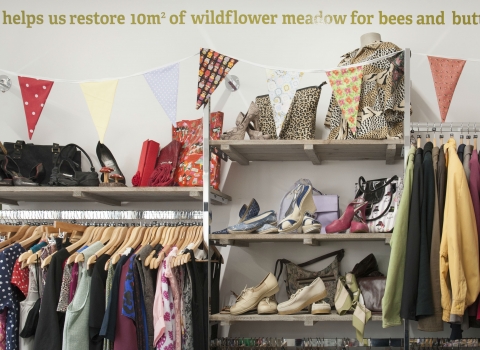 Charity shop volunteer