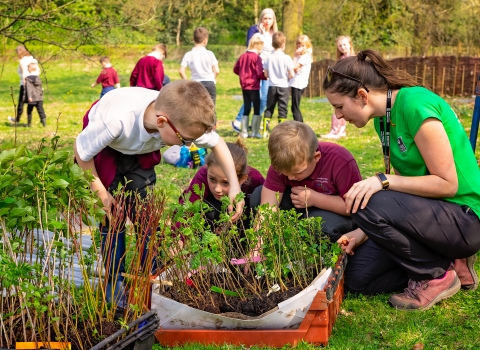 Education work - tree planting 