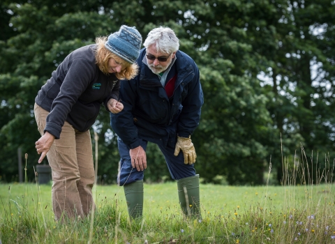 Surveying local wildlife sites