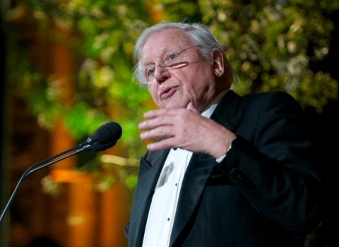 David Attenborough