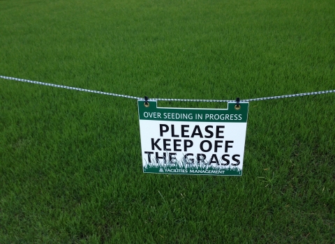 Keep off the grass