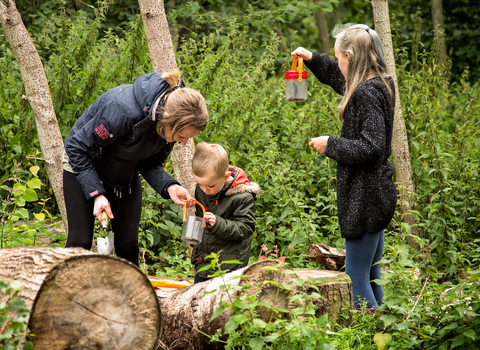 WildChild Festival bug hunting