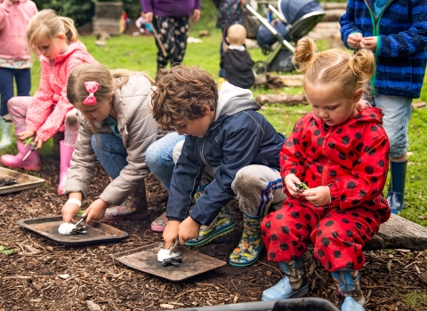 WildFestivall activities