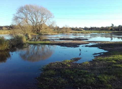 Tucklesholme