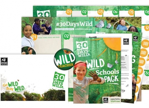 School Packs 2019