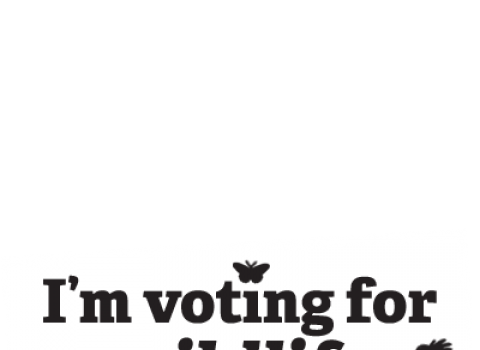 Twibbon