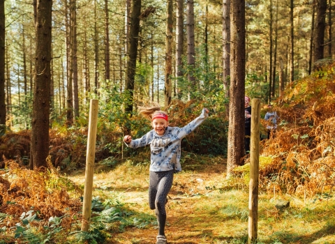 Woodland Workouts