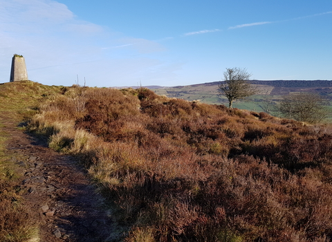 Gun Moor