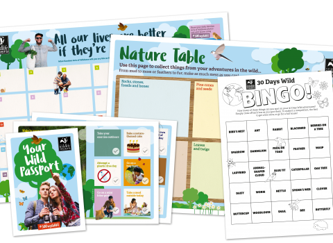 30 Days Wild 2020 pack