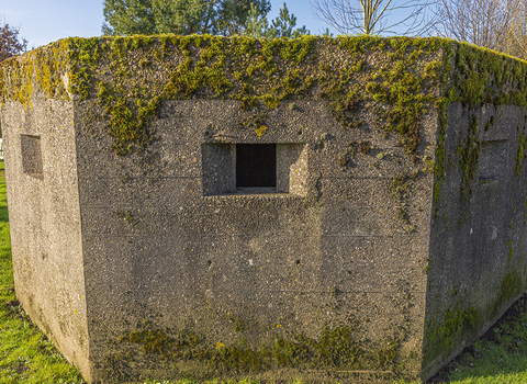 Pill box