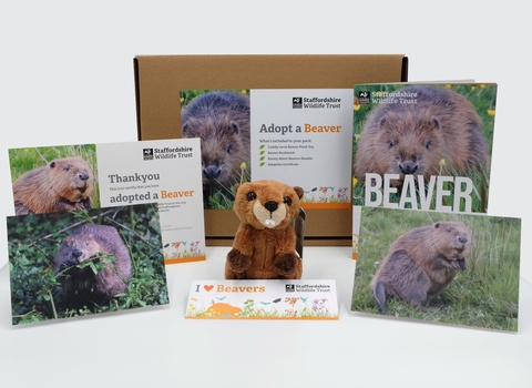 A photo of the Trust beaver adoption pack