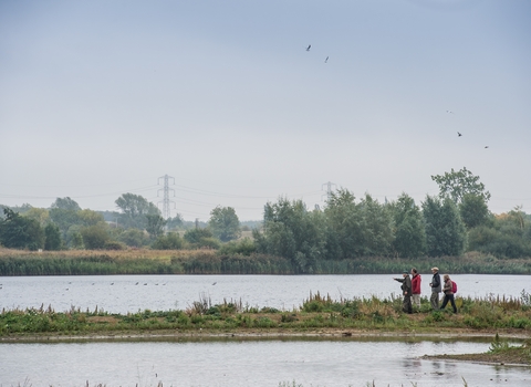 A wonderful wetland habitat