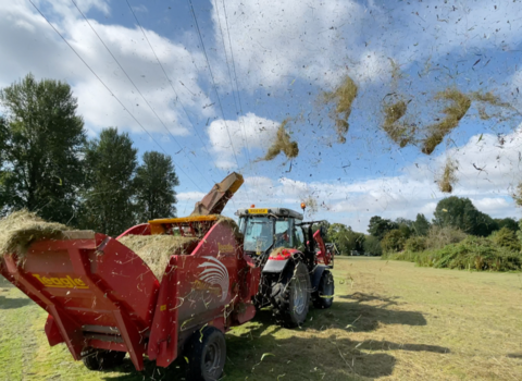 Grassland restoration