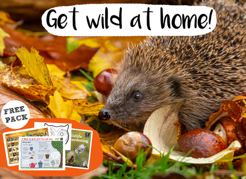 Wildlife Gardening booklet