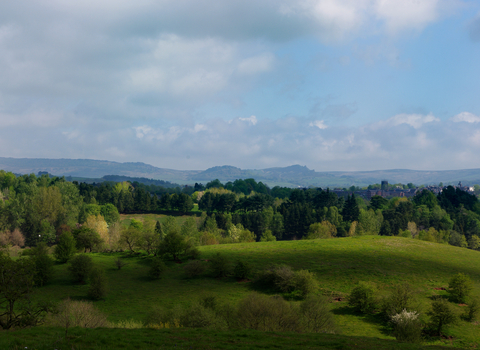 View of green rolling hills with various trees and blue sky with clouds