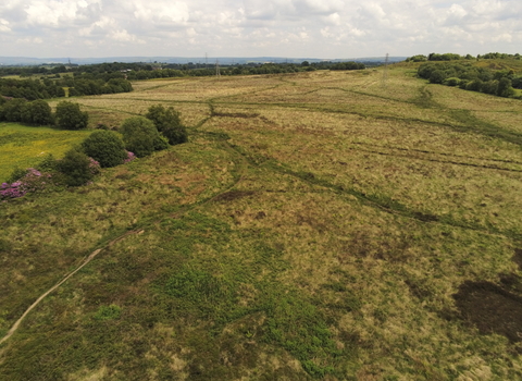 Wetley moor common - @TomEllisPhotography