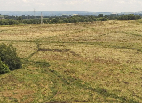 Wetley moor common - @TomEllisPhotography