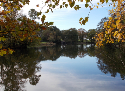 Biddulph grange