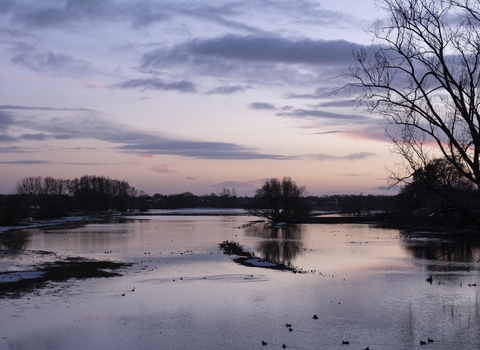 A pinky purple sky after sunset over a floodplain with silhouette trees