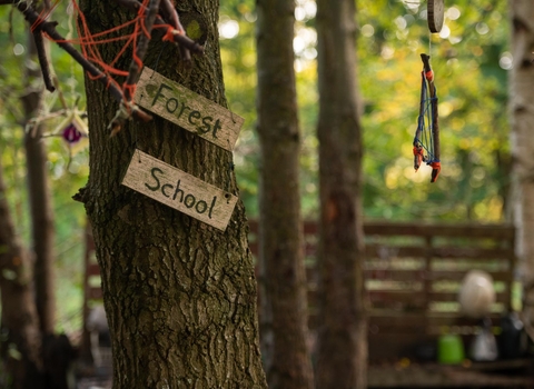 A rustic sign fixed to a tree trunk reads forest school