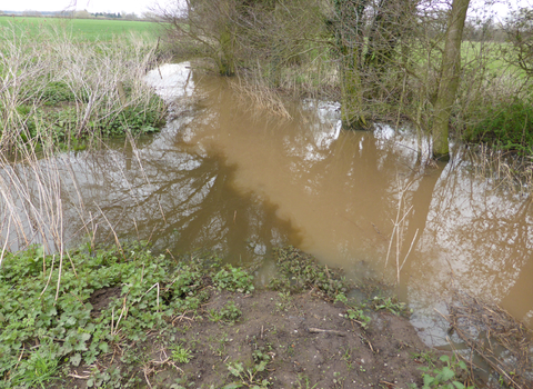 Murky brown/grey water merges with lighter brown water in a river, bordered by trees and farmland