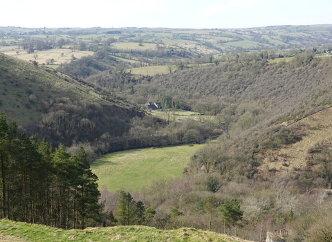 A valley bordered by steep wooded hill side to the right with a grassland pasture in the centre