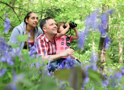 A family in bluebell woods looking through binoculars.